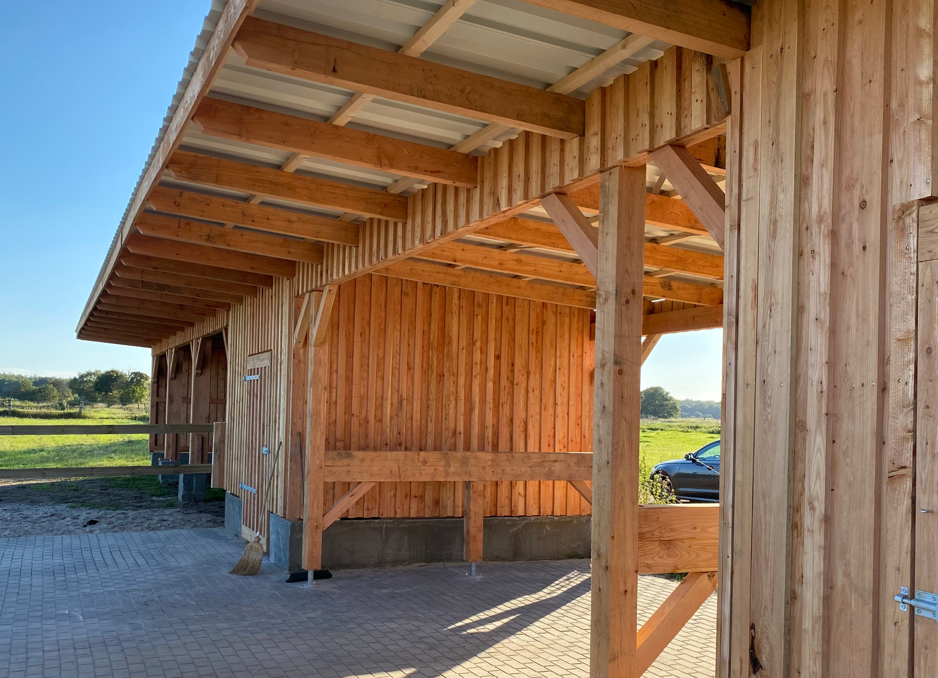 Offenstall oder Box für Turnierpferde: was Sie wirklich vergleichen sollten