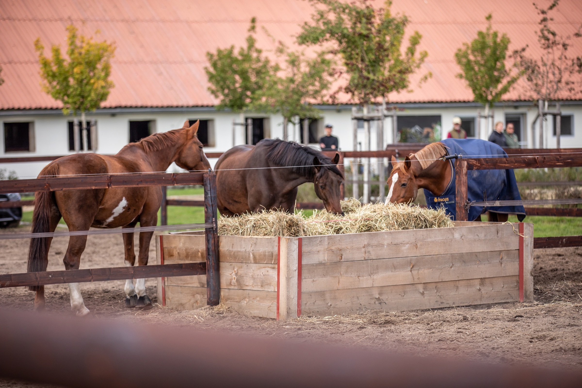 Offenstall mit Auslauf und Heuraufen