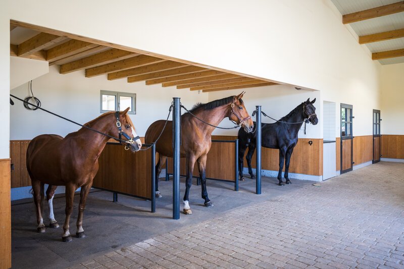 Reithalle für ganzjähriges Training