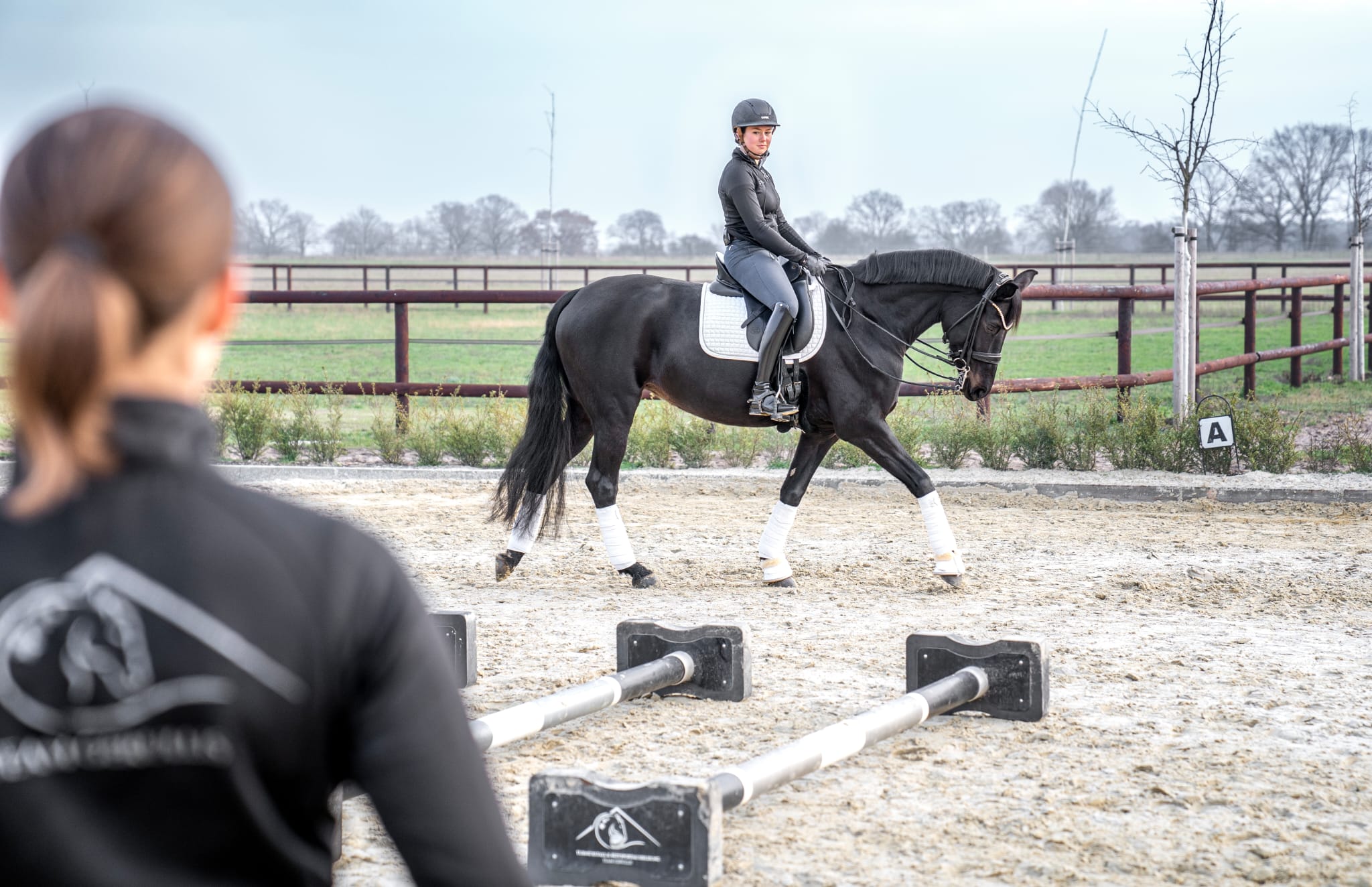 Dressurausbildung und Reitunterricht an der Eichhof Akademie