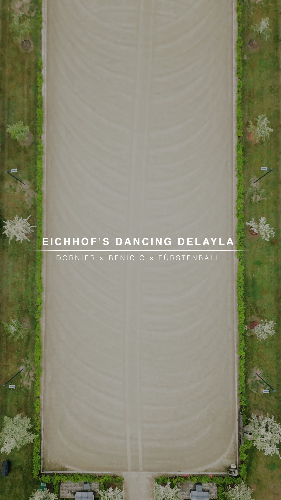 Eichhof's Dancing Delayla