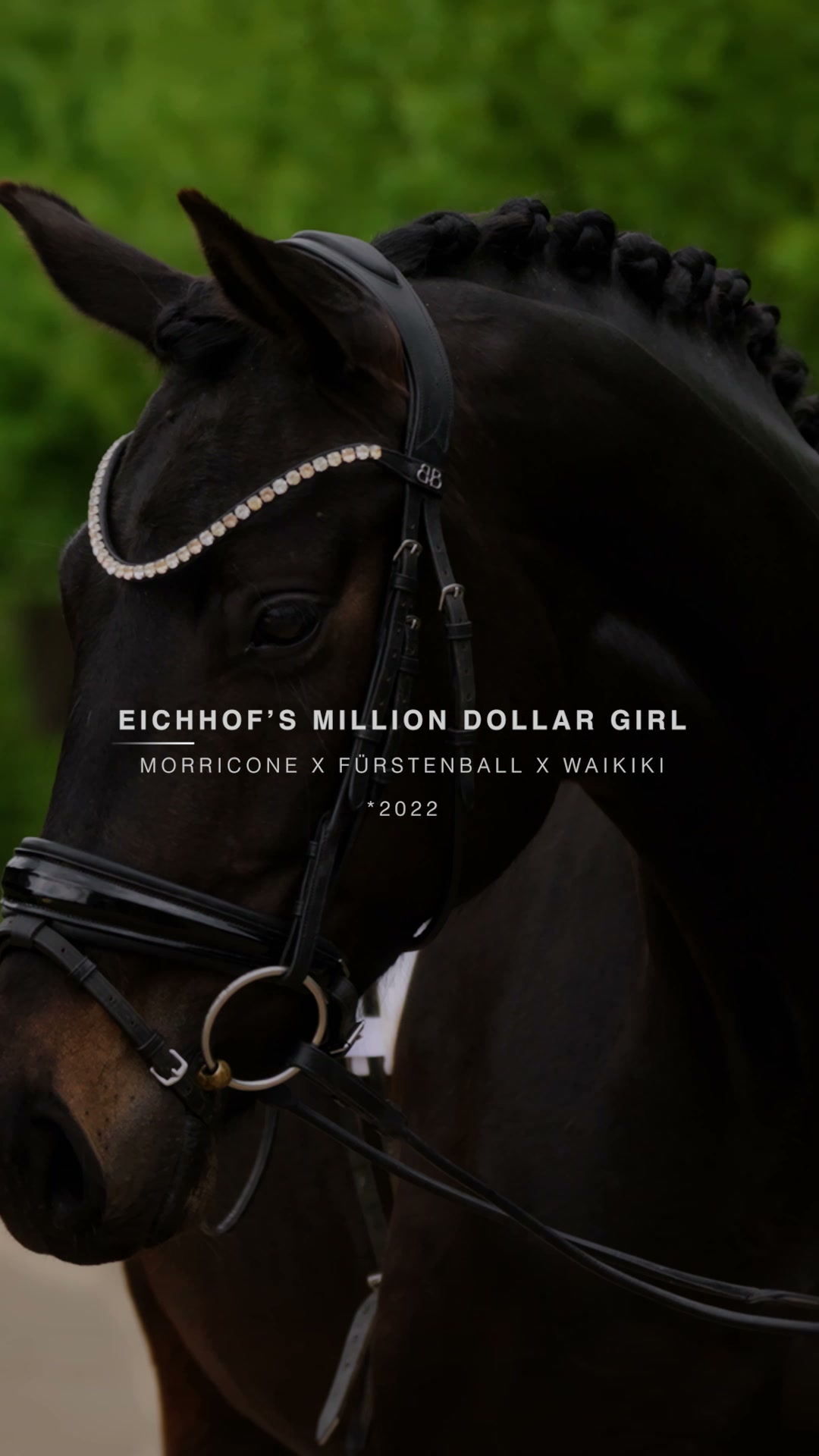 Eichhof's Million Dollar Girl