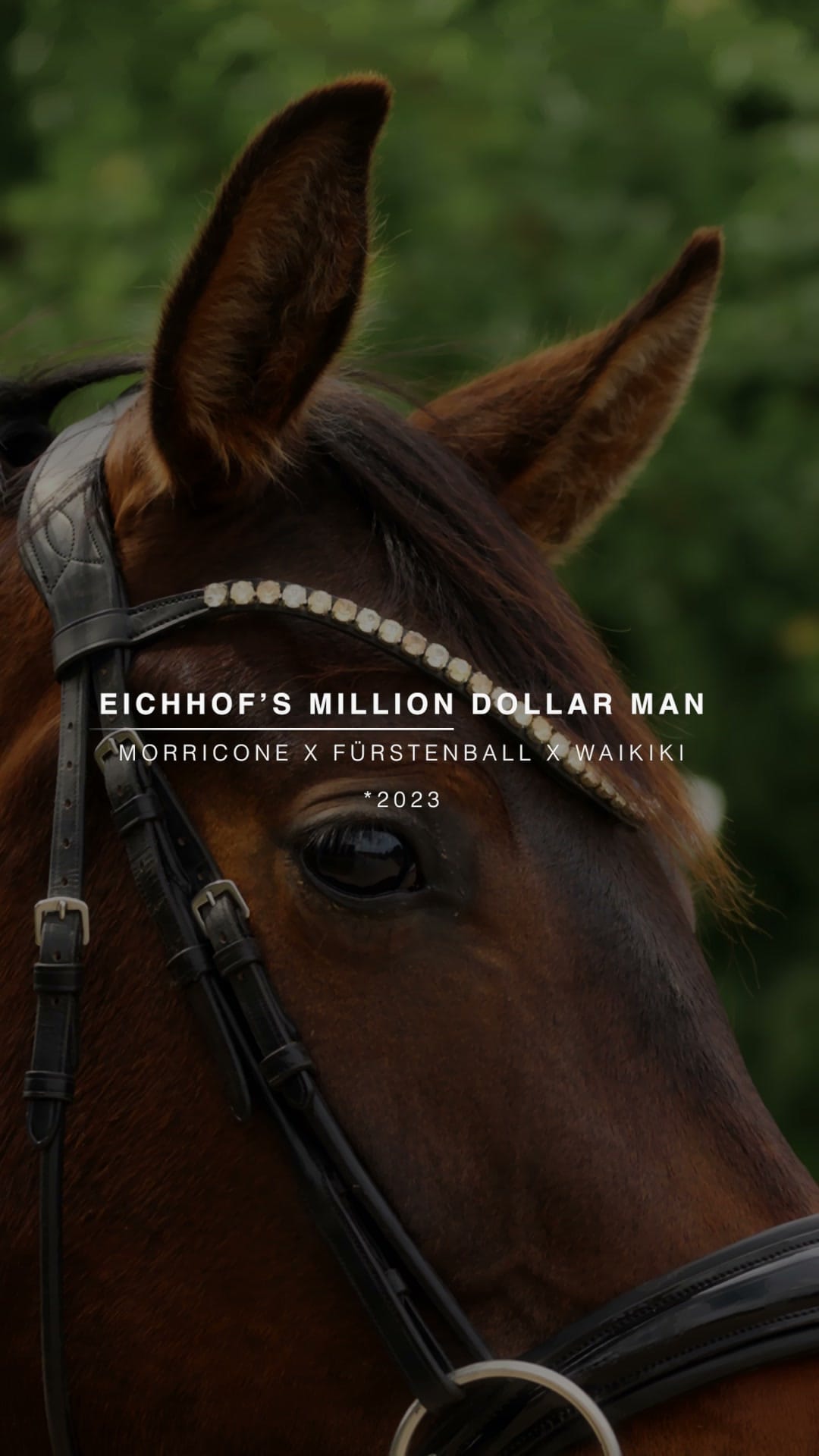 Eichhof's Million Dollar Man