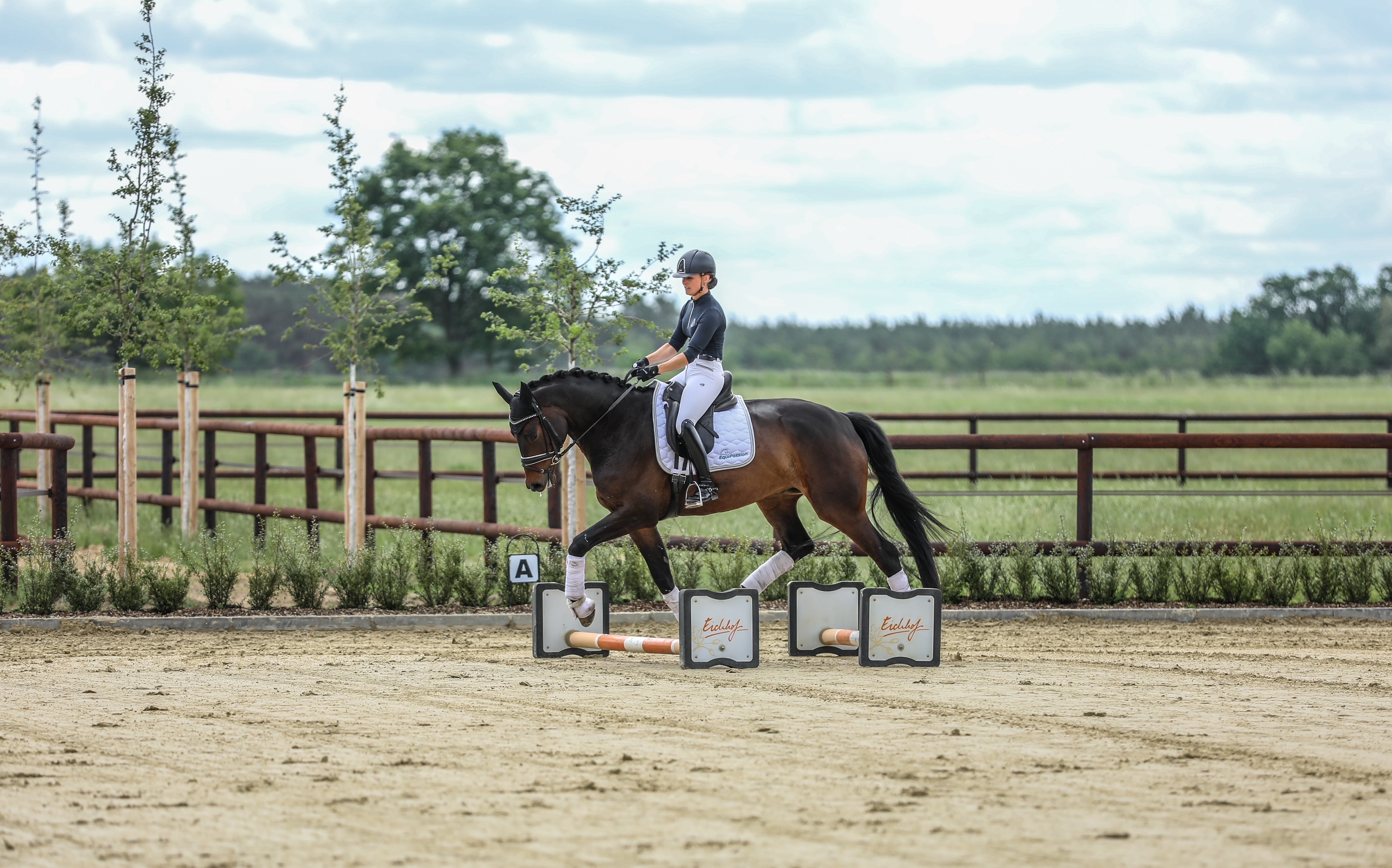 Eichhof's Quäntchen Glück