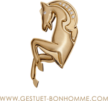 Gestüt Bon Homme